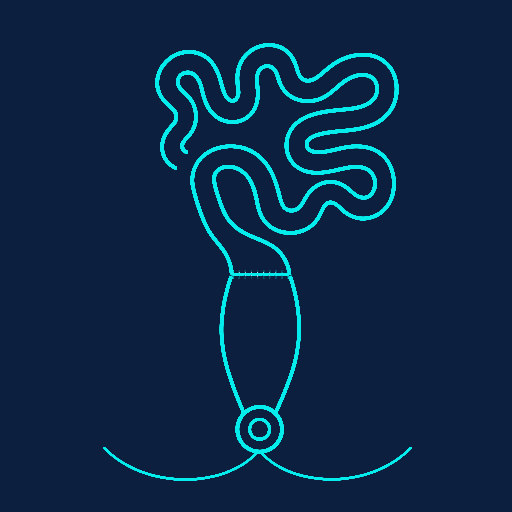Stage 2: the small intestine is joined to the rectum, completing the ileorectal anastomosis